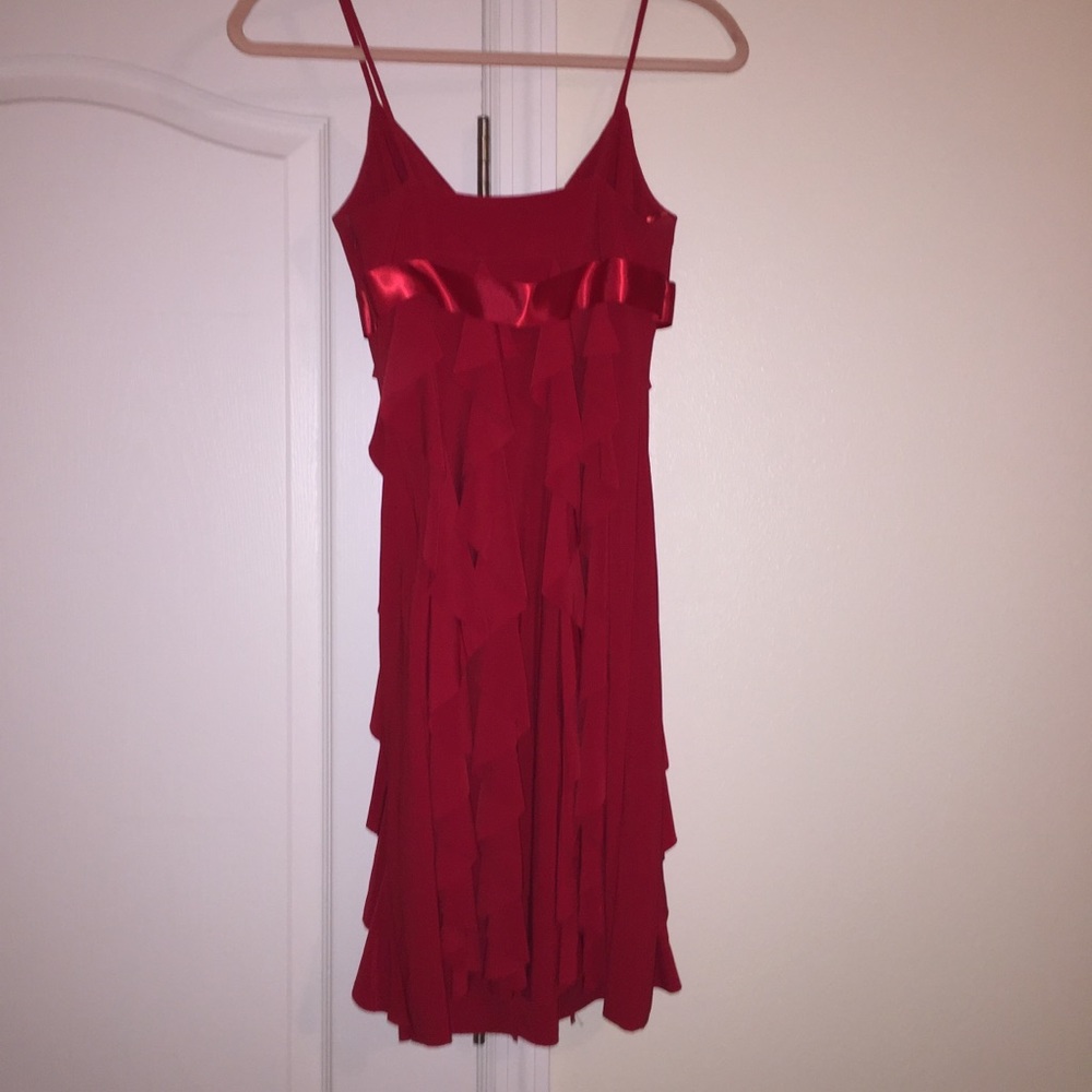 Red Cache Cocktail Dress - Picture 3 of 3